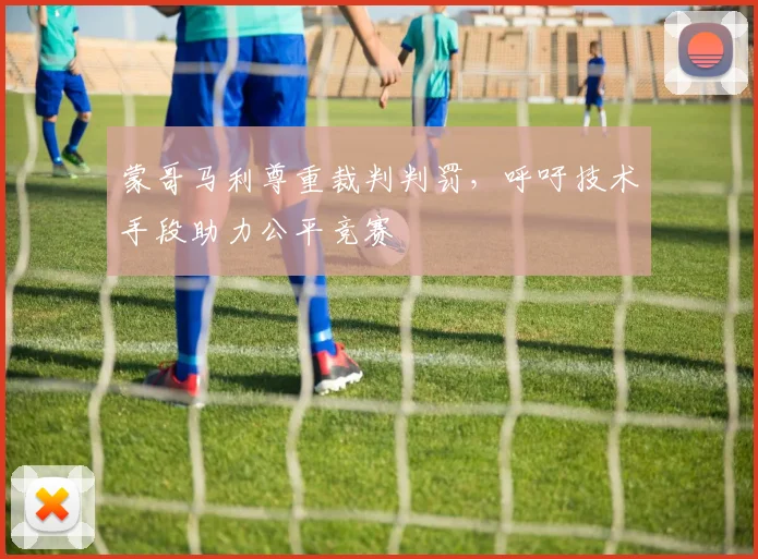 蒙哥马利尊重裁判判罚，呼吁技术手段助力公平竞赛