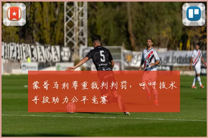 蒙哥马利尊重裁判判罚,呼吁技术手段助力公平竞赛